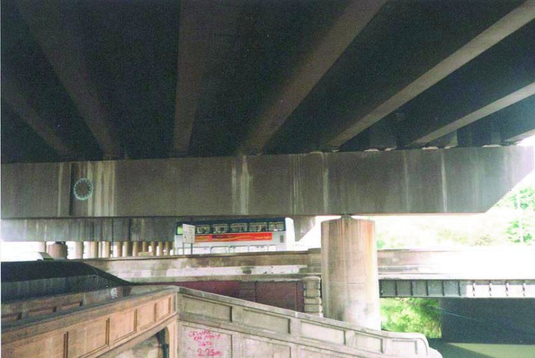 mlv_photo_775.jpg
