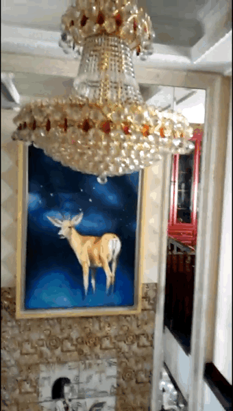 9f4e956d3d4c4f1b8a70400756d980cd.gif