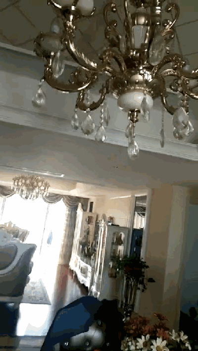 1bed83ef17c14a83b6edf14c96558361.gif